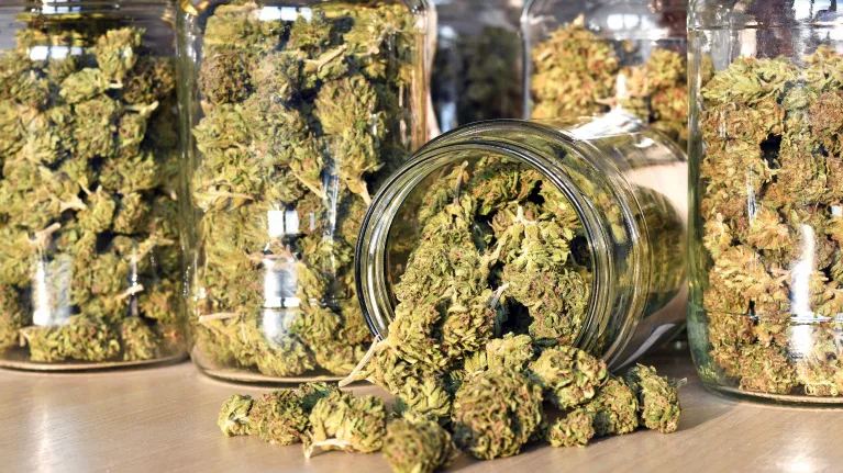5 Colorado Cannabis