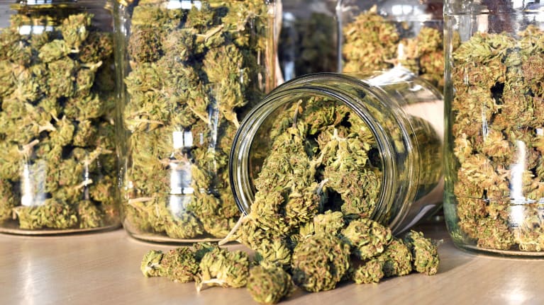 South Dakota Judge Nips Recreational Marijuana in the Bud