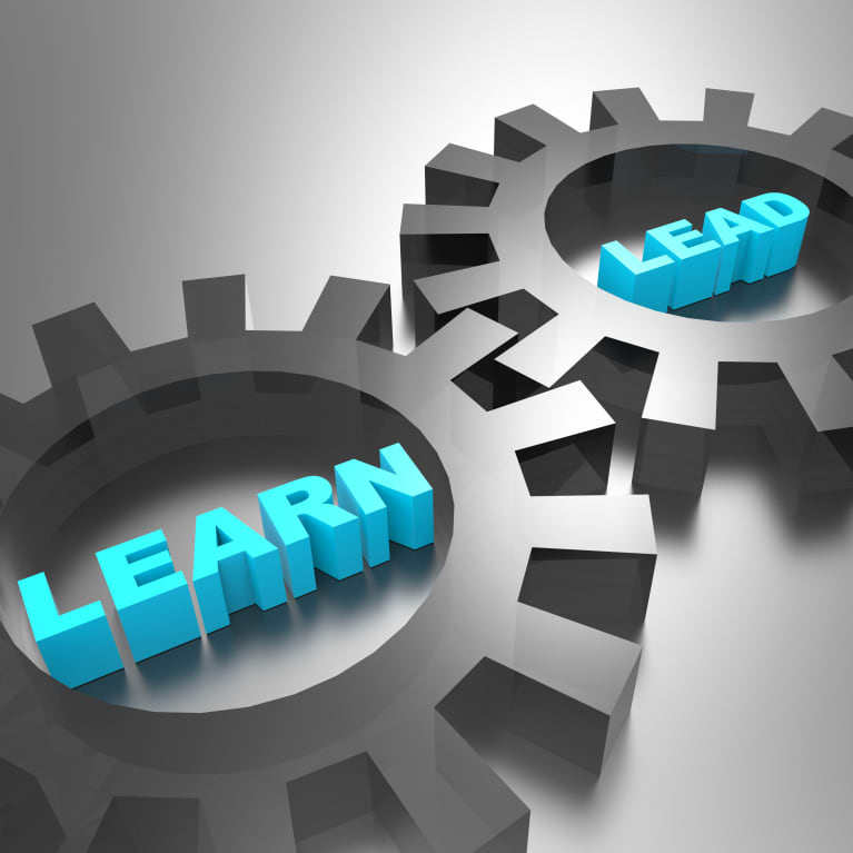 Competencies Are Key To Hr S Professional Development (4 hrs cooldown) this advanced guide allows access to the wider.