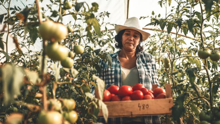 Arbeitslandwirtschaft Gartenbau ausgenommen