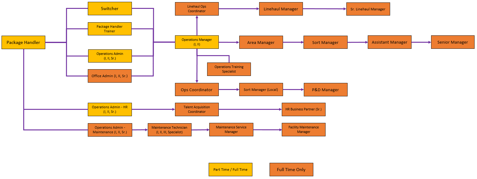 Developing Employee Career Paths And Ladders