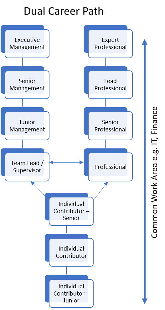 Developing Employee Career Paths And Ladders
