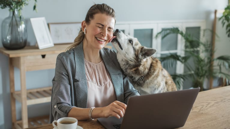 How to Ease Return to Work for Employees with Pets 