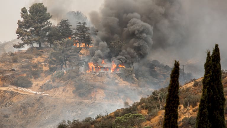 wildfire smoke