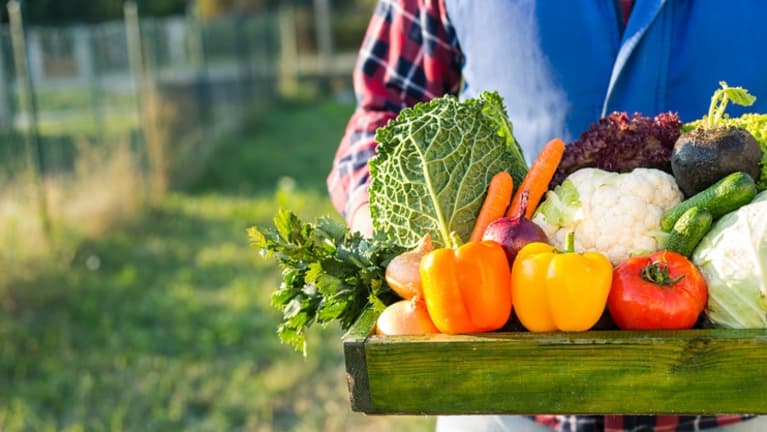 Farm-to-Worksite Programs Promote Healthier Eating
