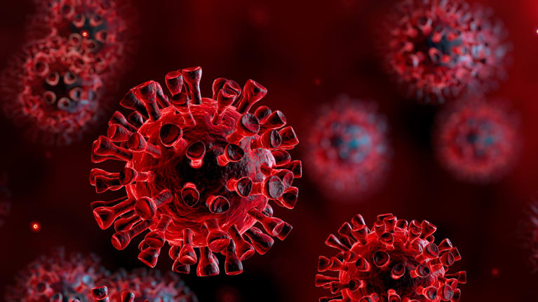 Microscopic image of the coronavirus