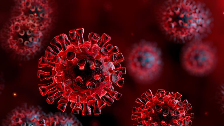 A graphic of a microscopic view of the coronavirus