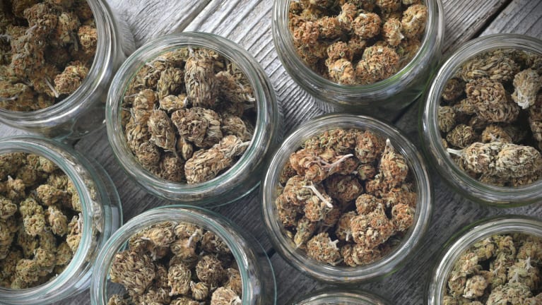 cannabis buds stored in a glas jars