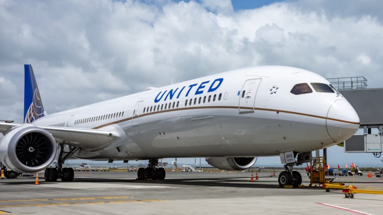 a United Airlines plane at an airport gate