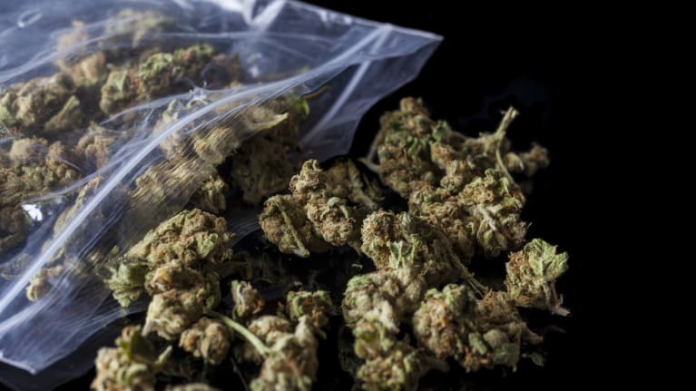 marijuana in a bag