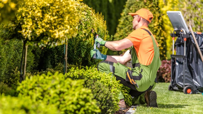 worker performing landscaping