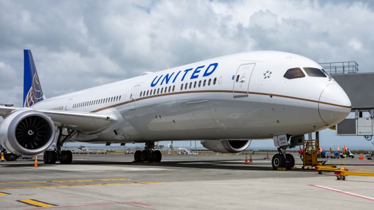 A United Airlines airplane  at an airport gate