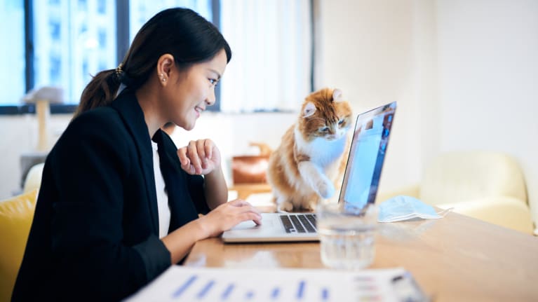woman working with cat on desk