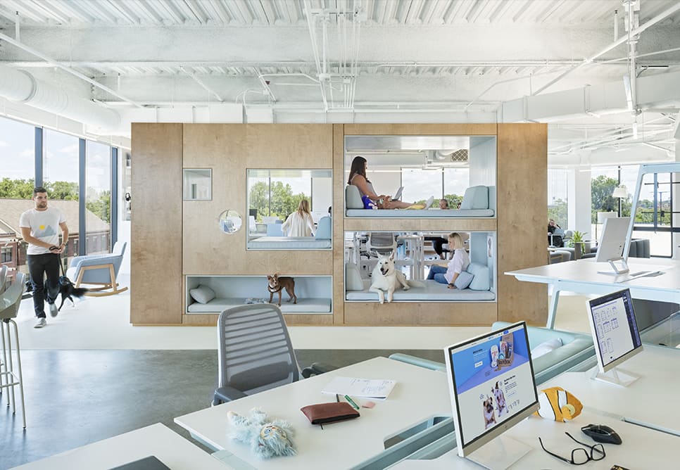 Pet-friendly space at Bark in Columbus, Ohio.  Photo by Chuck Choi for design/architectural firm NBBJ, courtesy of Adzuna.